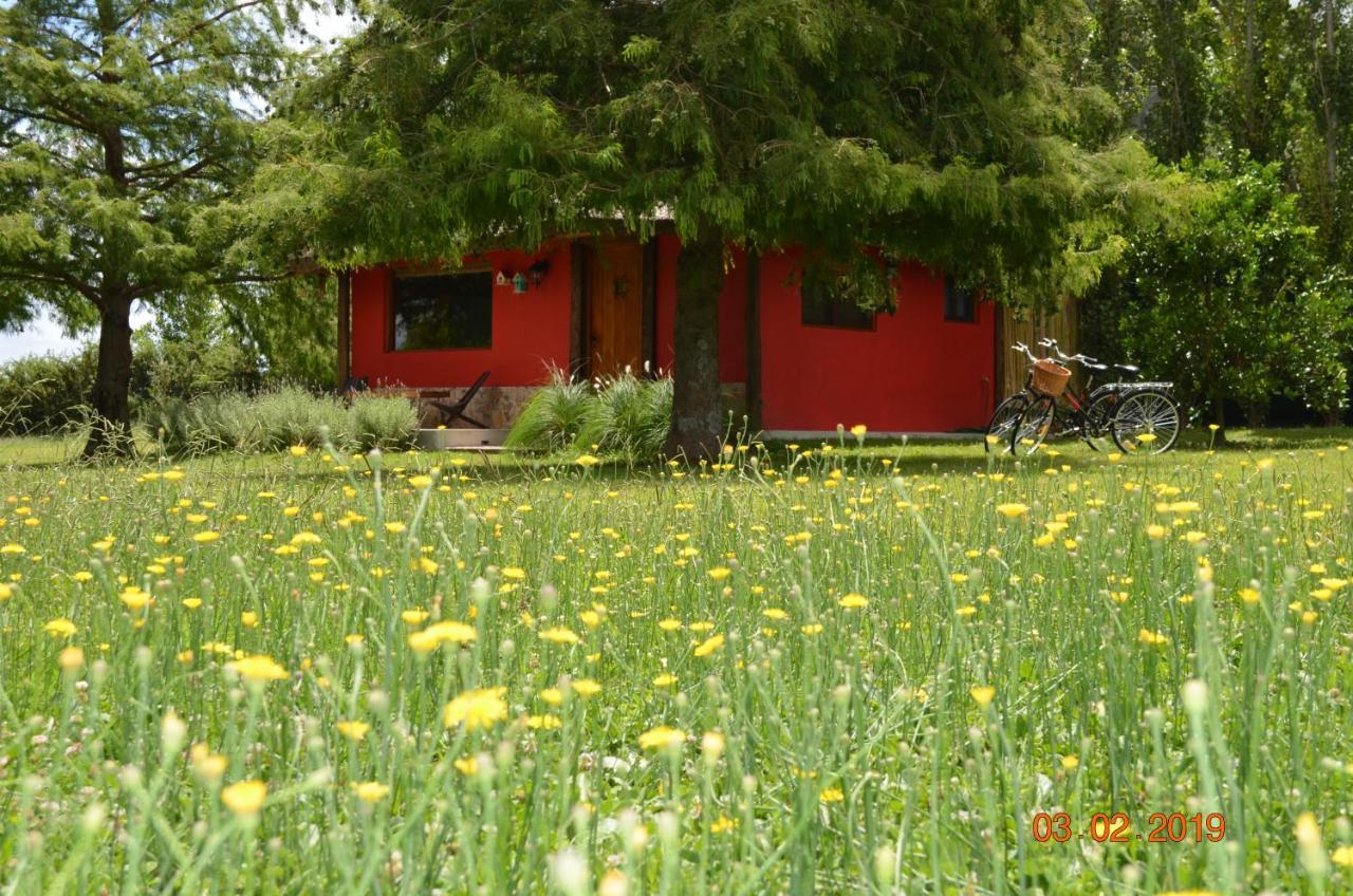 כרמלו Cabana La Toscana מראה חיצוני תמונה